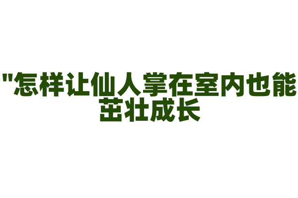 "怎样让仙人掌在室内也能茁壮成长？"